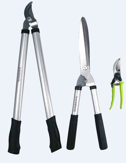 Mackenzie & Hartley Lopper, Shear and Secateur Set, 3 Pieces