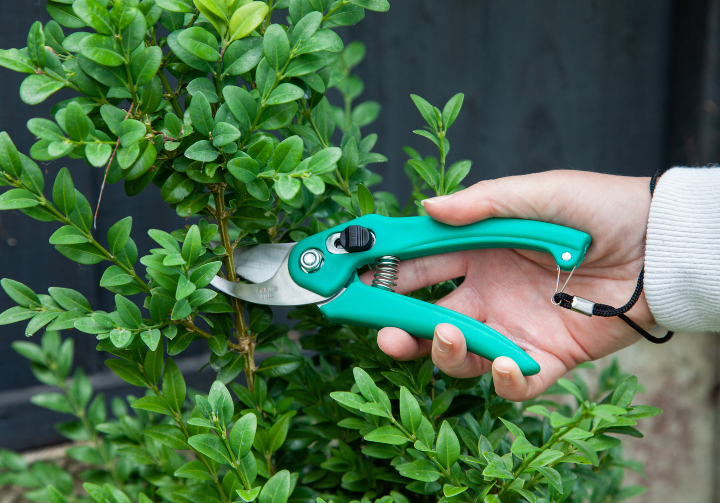 SK-5 Alloy Stainless Steel Professional Secateurs