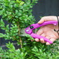SK-5 Alloy Stainless Steel Professional Secateurs