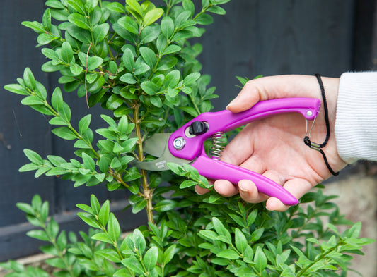 SK-5 Alloy Stainless Steel Professional Secateurs